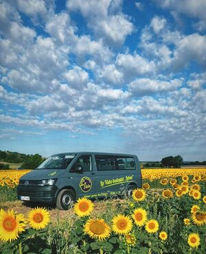 Fuhrpark VW Bus im Sonnenblumenfeld